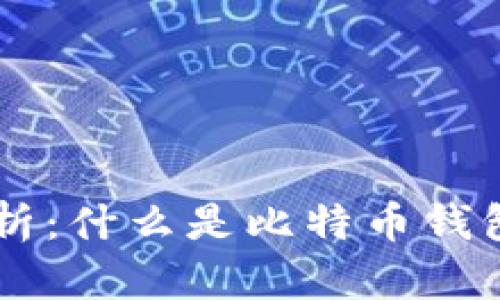 比特币钱包全面解析：什么是比特币钱包，如何选择和使用？