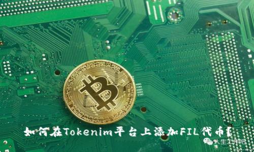 如何在Tokenim平台上添加FIL代币？