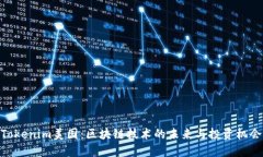 Tokenim美国：区块链技术的