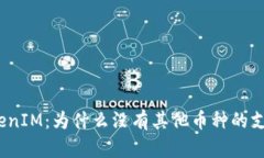 TokenIM：为什么没有其他币