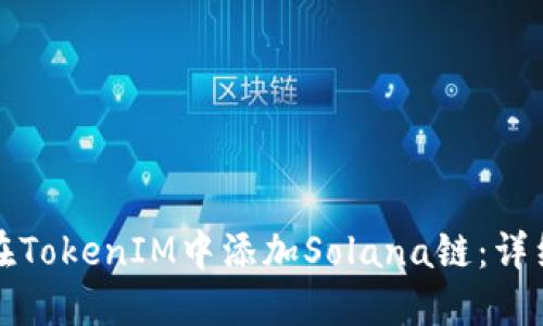 如何在TokenIM中添加Solana链：详细指南