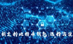 全面解析支持比特币钱包