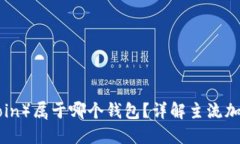 屎币（Shitcoin）属于哪个钱