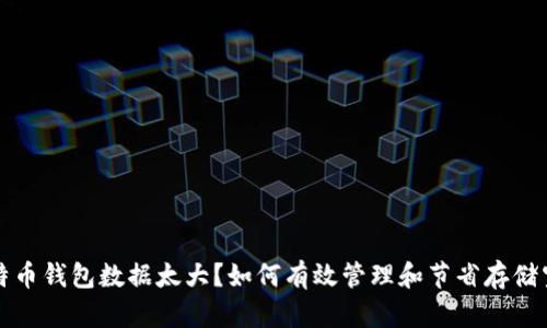 比特币钱包数据太大？如何有效管理和节省存储空间