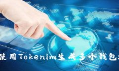 如何使用Tokenim生成多个钱