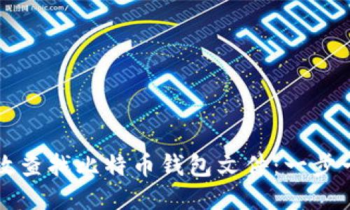 如何高效查找比特币钱包文件：一步一步指导