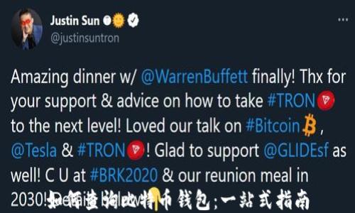 
如何查询比特币钱包：一站式指南