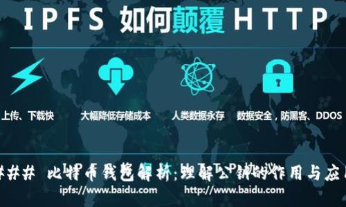 ### 比特币钱包解析：理解公钥的作用与应用