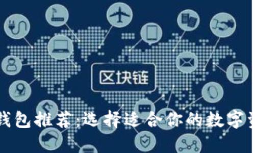 比特币最佳钱包推荐：选择适合你的数字资产保护工具