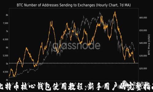 
比特币核心钱包使用教程：新手用户的完整指南