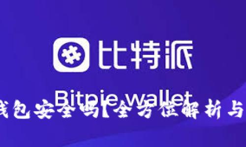USDT放钱包安全吗？全方位解析与风险防范