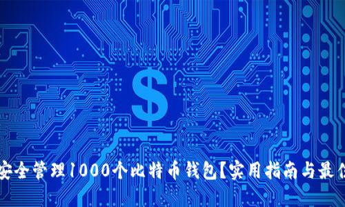 如何安全管理1000个比特币钱包？实用指南与最佳实践