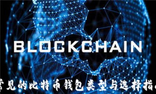 
常见的比特币钱包类型与选择指南