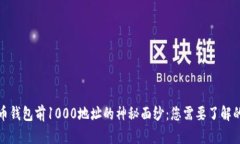 揭开比特币钱包前1000地址