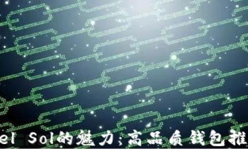 
探寻Costa del Sol的魅力：高品质钱包推荐与选购指南