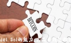 探寻Costa del Sol的魅力：高