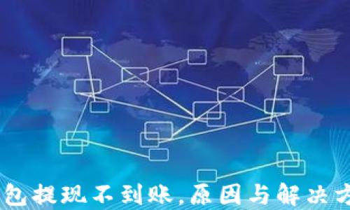 
USDT钱包提现不到账，原因与解决方案详解
