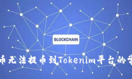解决货币无法提币到Tokenim平台的常见问题