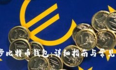 （如何同步比特币钱包：