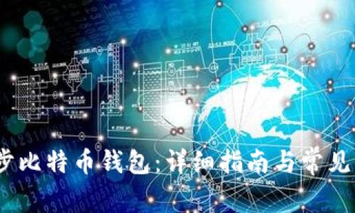 （如何同步比特币钱包：详细指南与常见问题解答