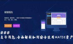 ### 麦子钱包：全面解析如