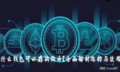 什么钱包可以存狗狗币？全面解析选择与使用