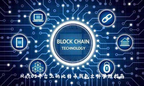 MacOS平台上的比特币钱包文件管理指南