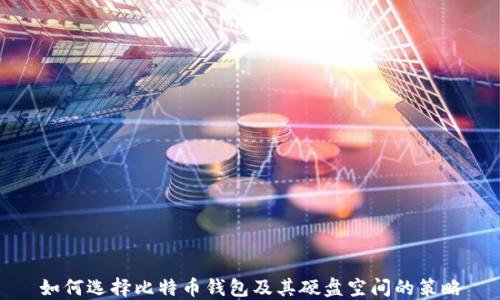 
如何选择比特币钱包及其硬盘空间的策略