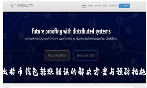 比特币钱包转账错误的解决方案与预防措施