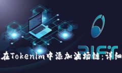 如何在Tokenim中添加波场链