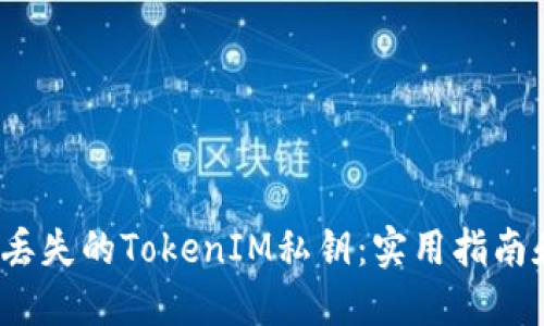  如何找回丢失的TokenIM私钥：实用指南和解决方案