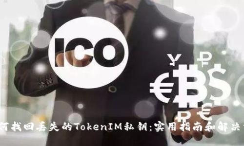  如何找回丢失的TokenIM私钥：实用指南和解决方案