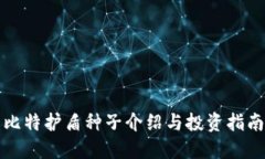 比特护盾种子介绍与投资