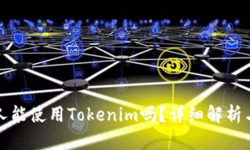 外国人能使用Tokenim吗？详细解析与指南