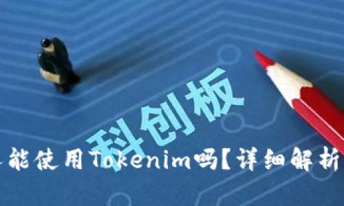 外国人能使用Tokenim吗？详细解析与指南