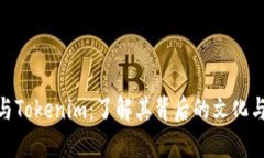 抹茶与Tokenim：了解其背后