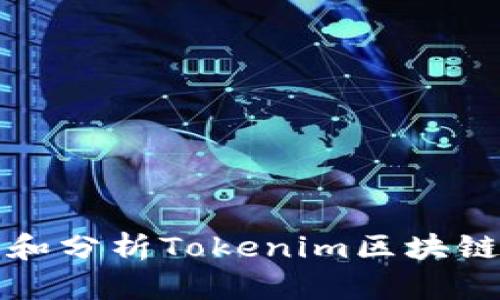 如何查看和分析Tokenim区块链转入记录