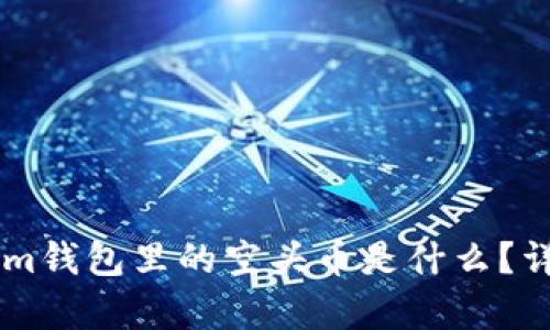 ### Tokenim钱包里的空头币是什么？详细解析及应用