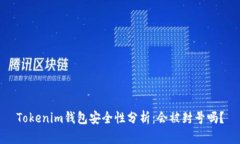 Tokenim钱包安全性分析：会