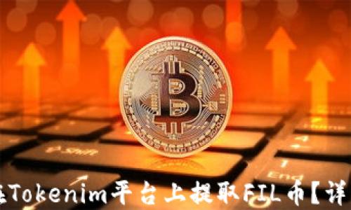 
如何在Tokenim平台上提取FIL币？详细指南