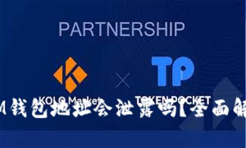 TokentokenIM钱包地址会泄露吗？全面解析钱包安全性