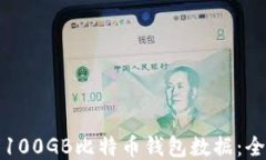 如何管理100GB比特币钱包数据：全方位指导
