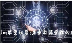 Tokenim能量租赁：未来能源