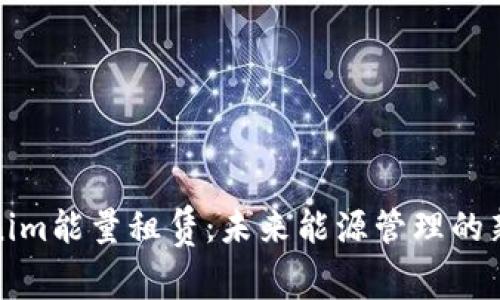 Tokenim能量租赁：未来能源管理的新模式