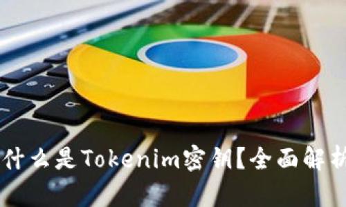 ### 什么是Tokenim密钥？全面解析与应用