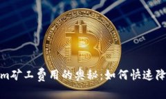 探索Tokenim矿工费用的奥秘