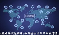 比特币轻钱包概述：如何安全高效管理数字资产