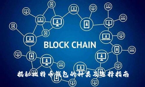 揭秘比特币钱包的种类及选择指南