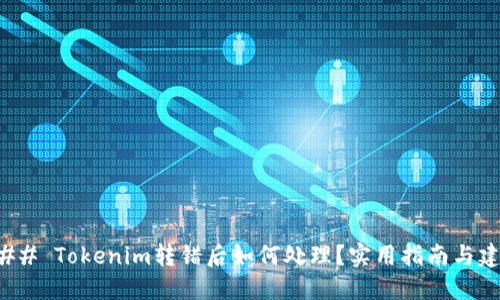 ### Tokenim转错后如何处理？实用指南与建议