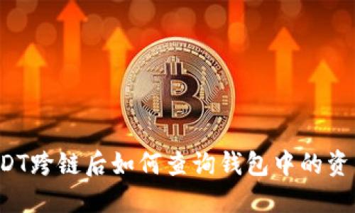 USDT跨链后如何查询钱包中的资产？